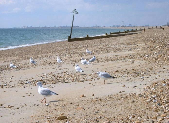 Newtown House Hotel South Hayling Εξωτερικό φωτογραφία